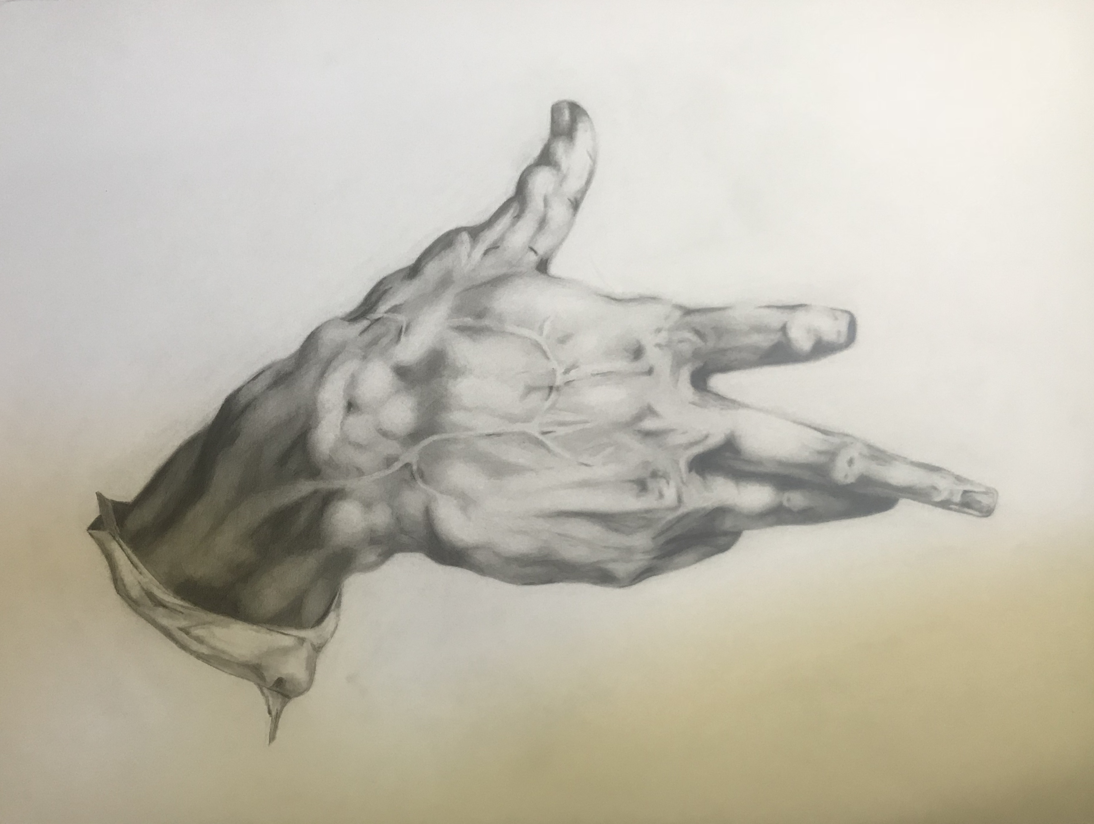 Graphite drawing of a hand.