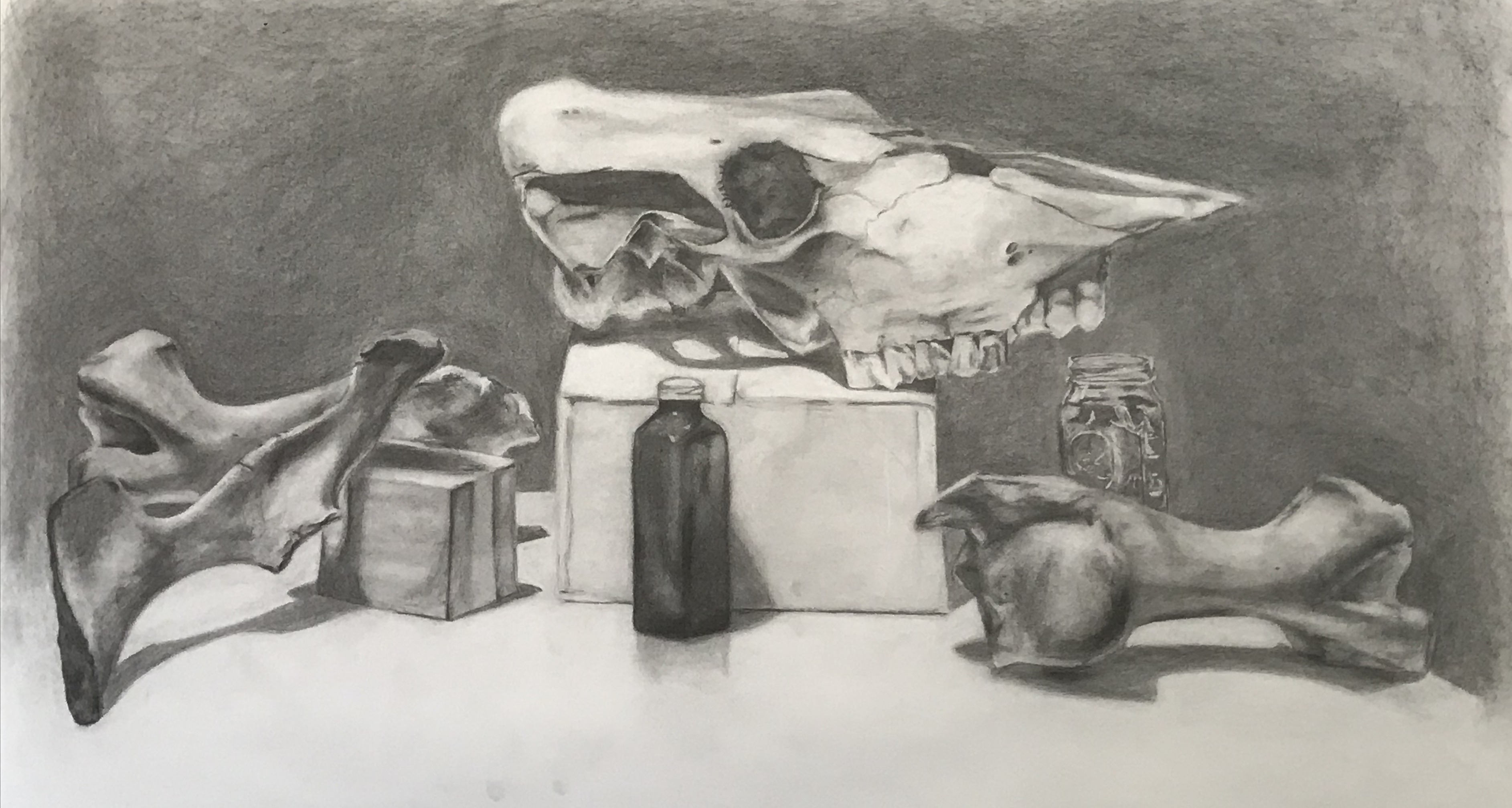 Graphite drawing of a skull and other random objects.